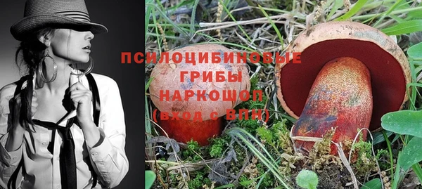 spice Протвино
