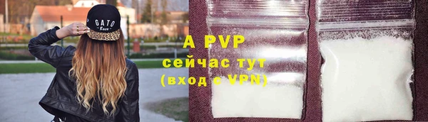 спиды Покровск