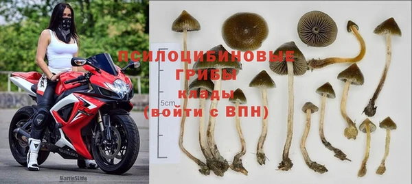 экстази Приозерск